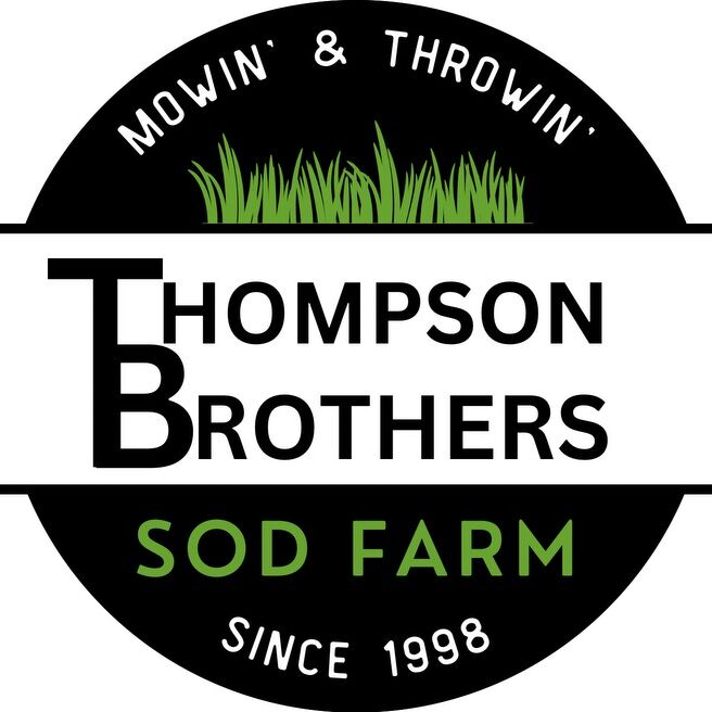 Sod - Kentucky Blue Grass