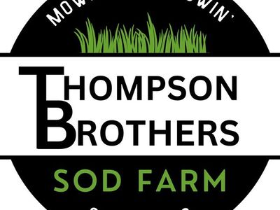 Sod - Kentucky Blue Grass