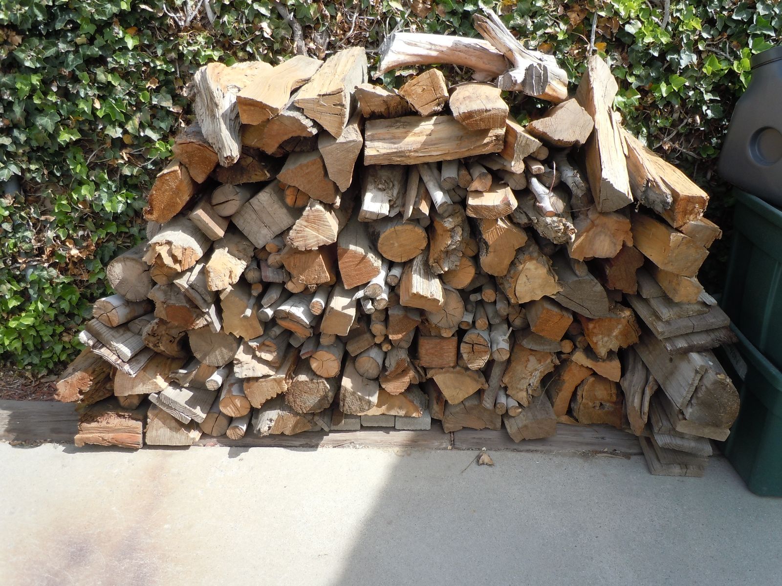 Fire Wood