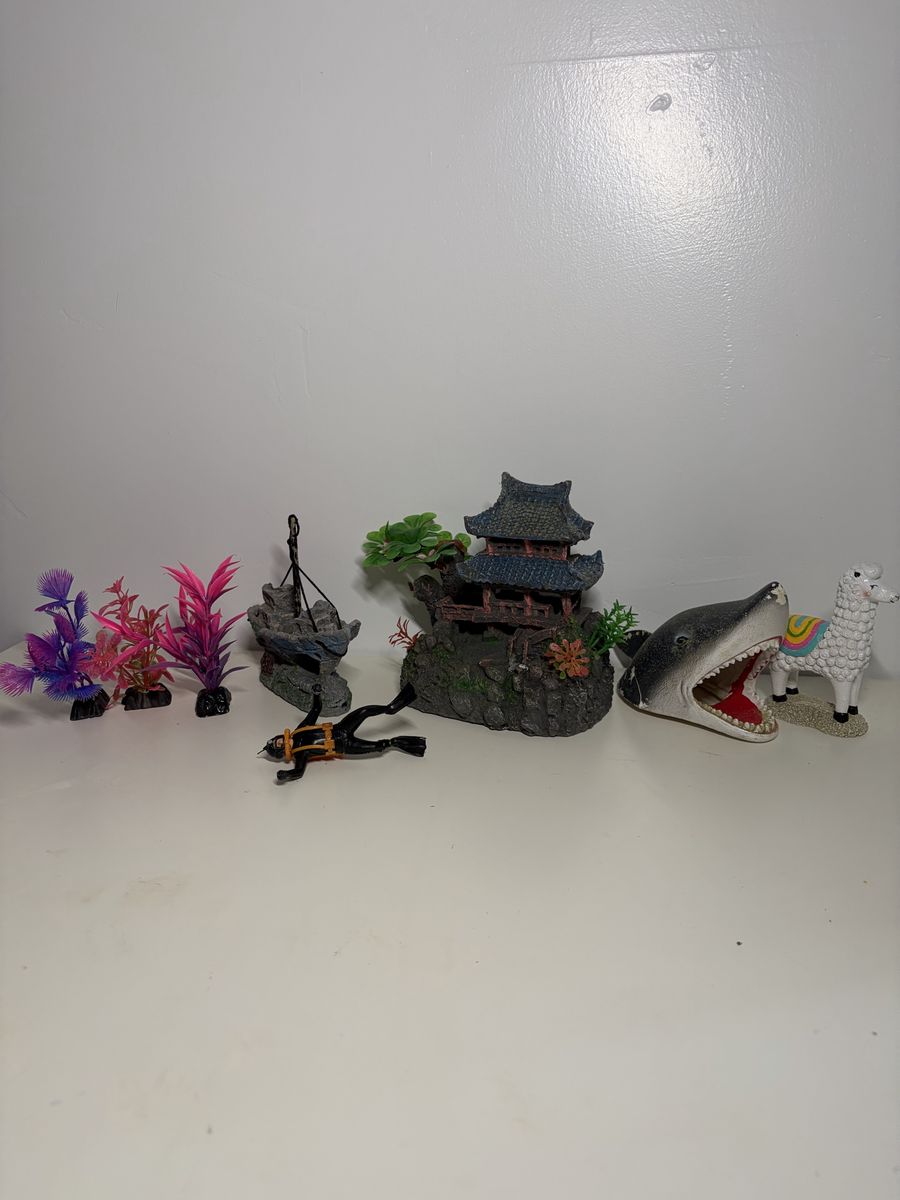 Fish tanks and supplies