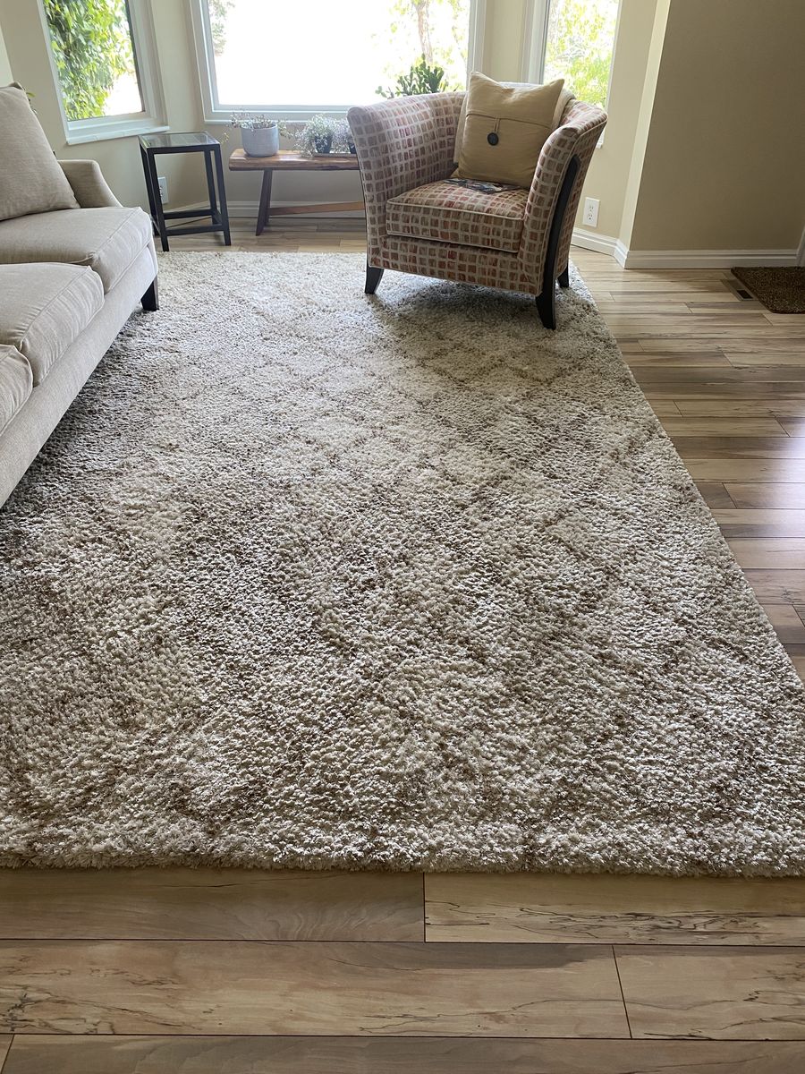 8x10 Area Rug, Karastan