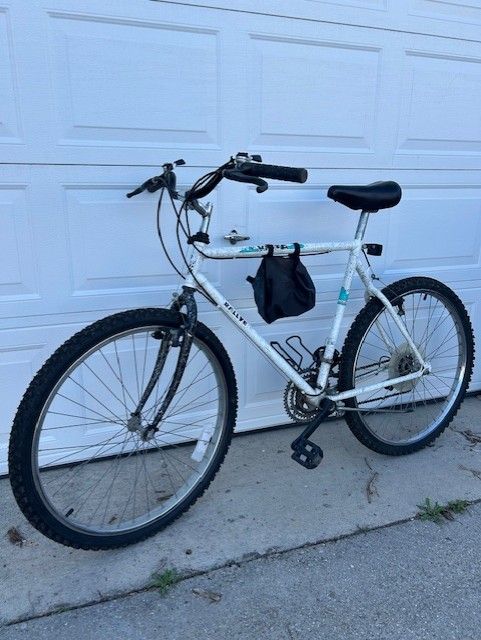 Rallye Men's 10 Speed Bike