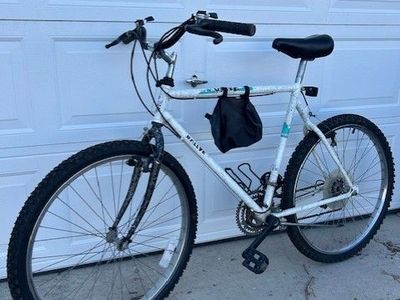 Rallye Men's 10 Speed Bike