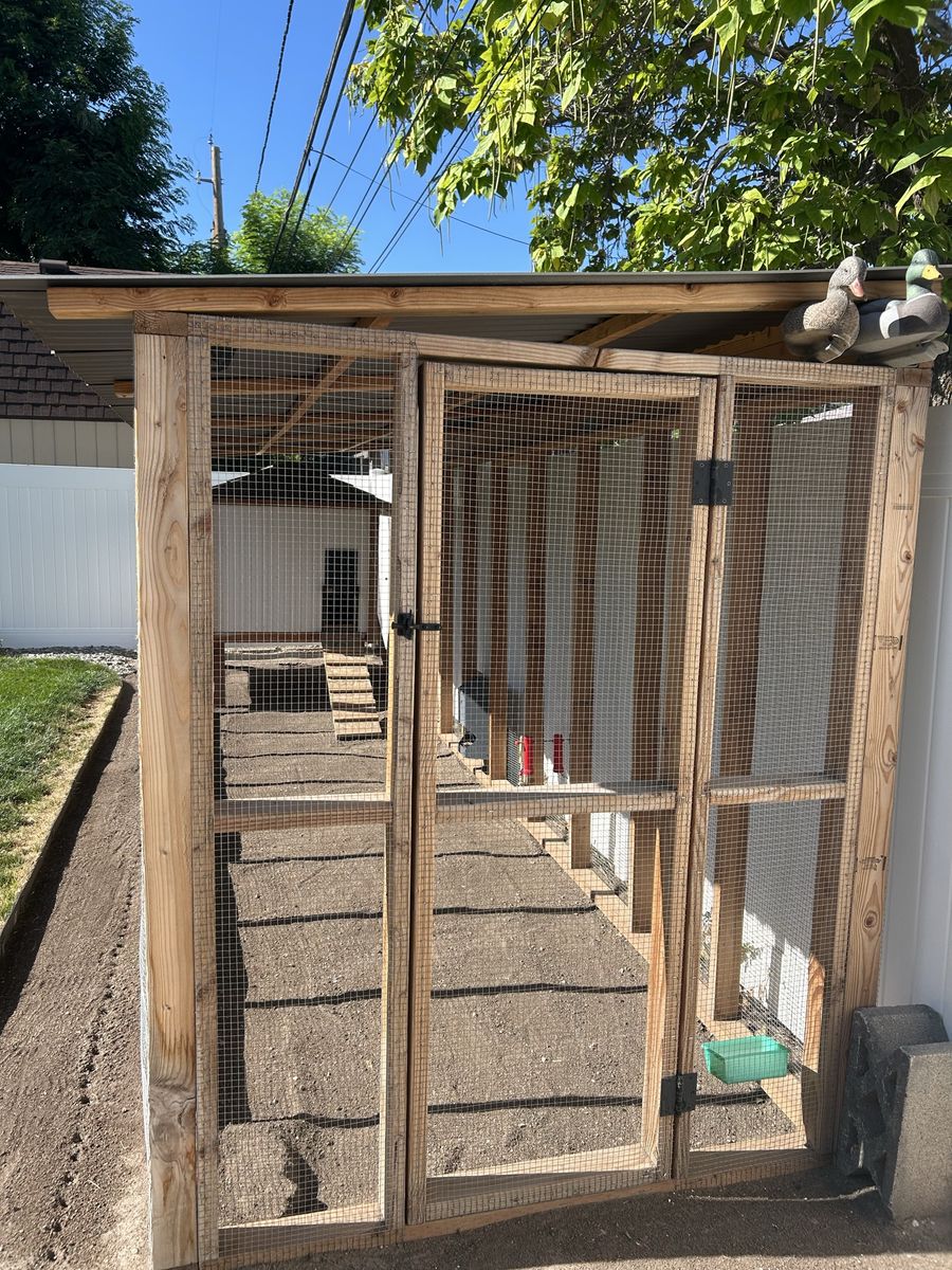 Chicken coop and run