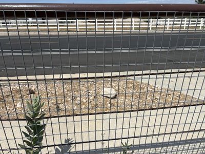 horse wire panels 2 x 4, 4x4