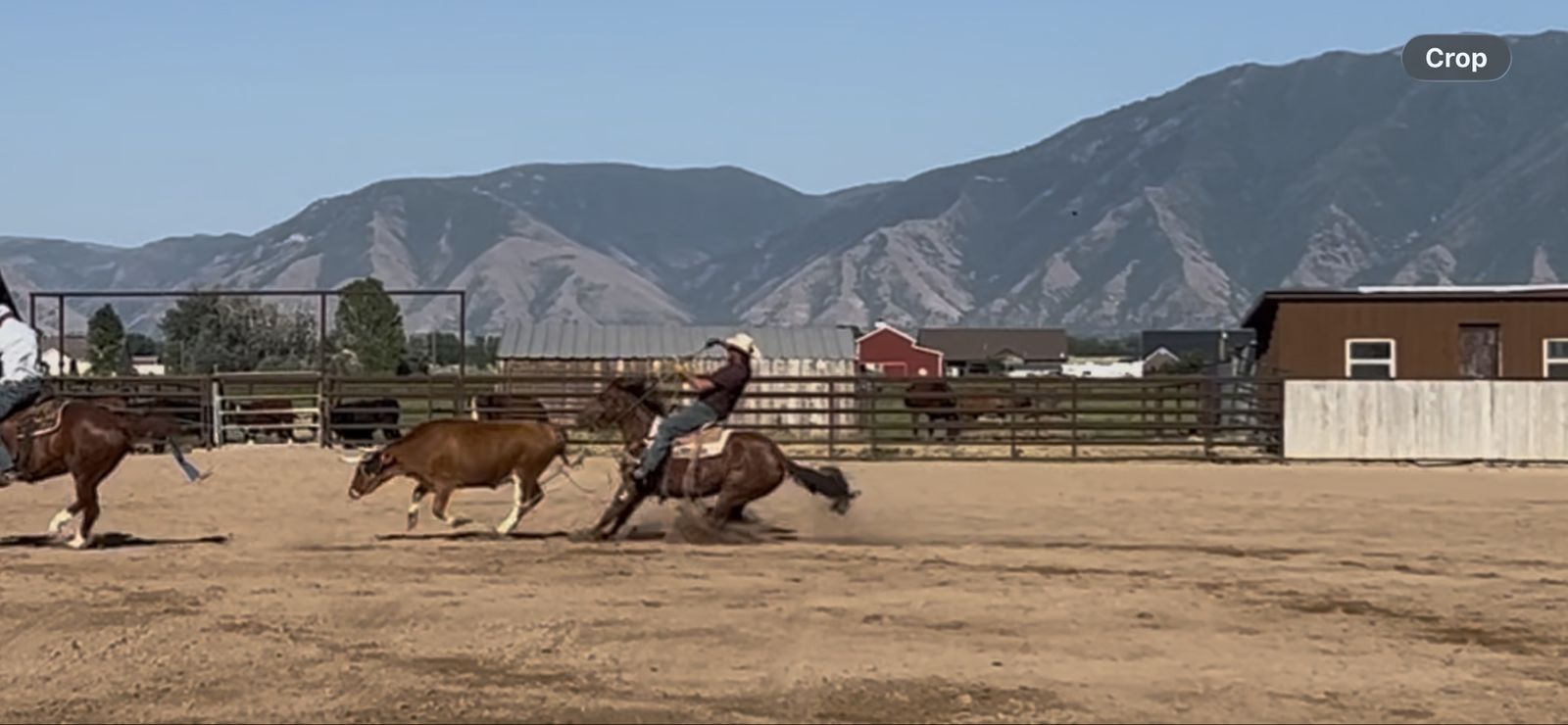 Heel Horse