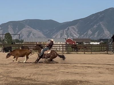 Heel Horse