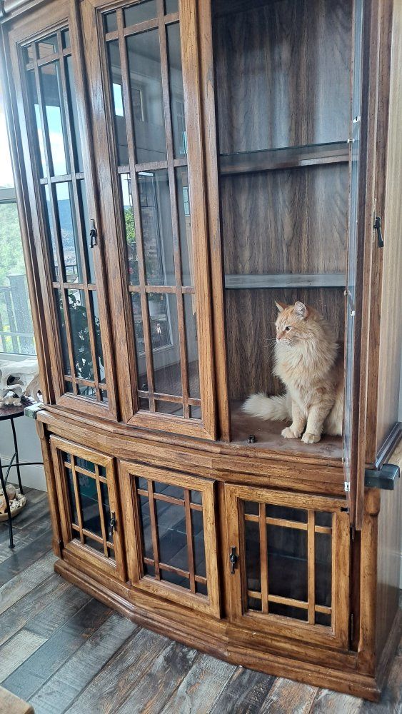 Elegant Oak Craftsman style Display Cabinet/Hutch - Curved Front, Glass Doors.