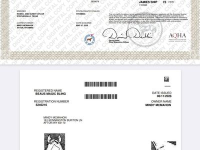 Registered mare