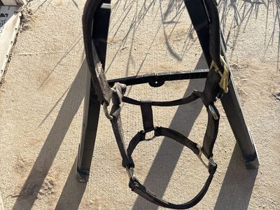 Small black nylon halter