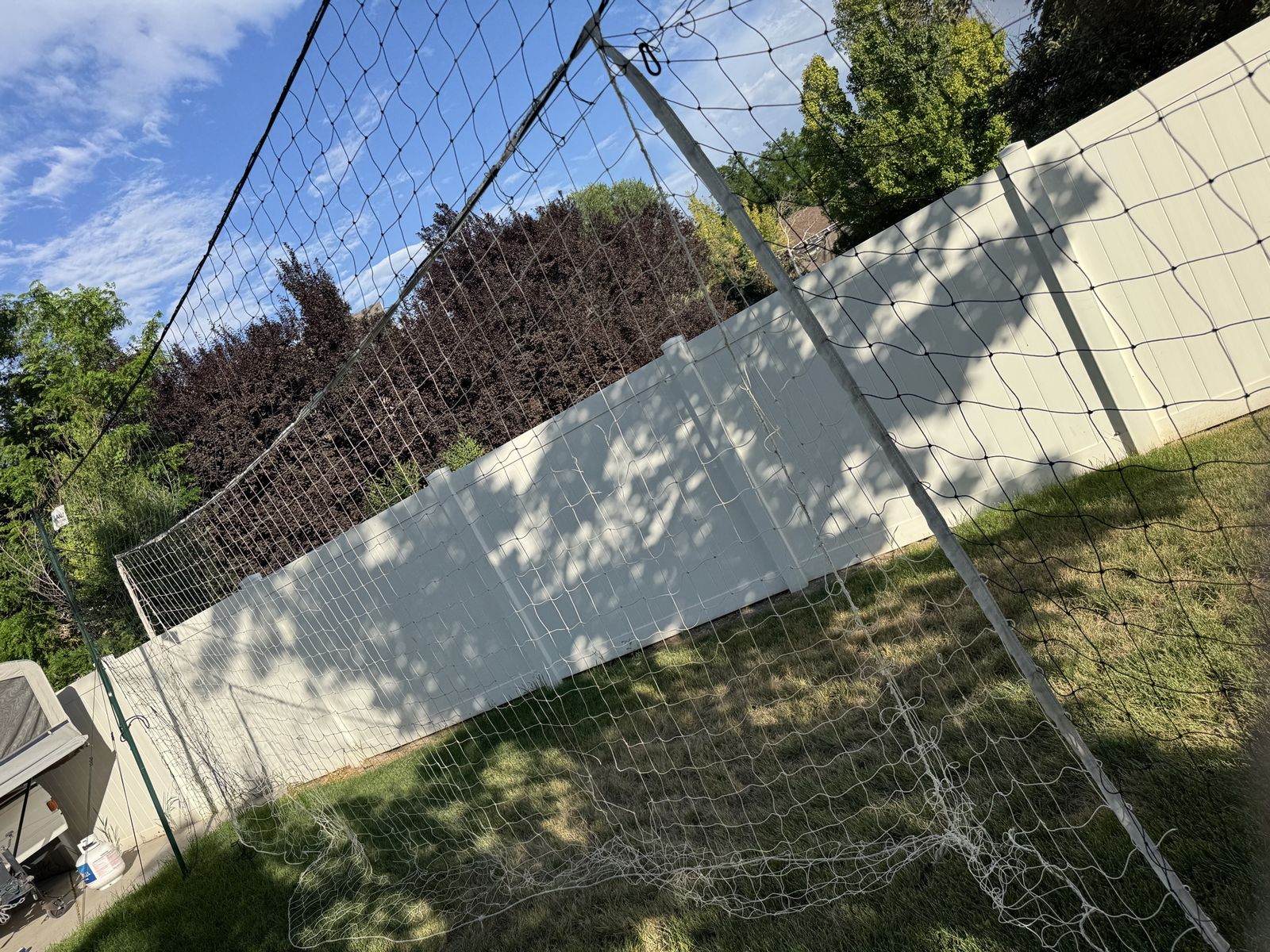 Main image 6