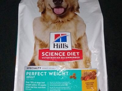 Dog Food