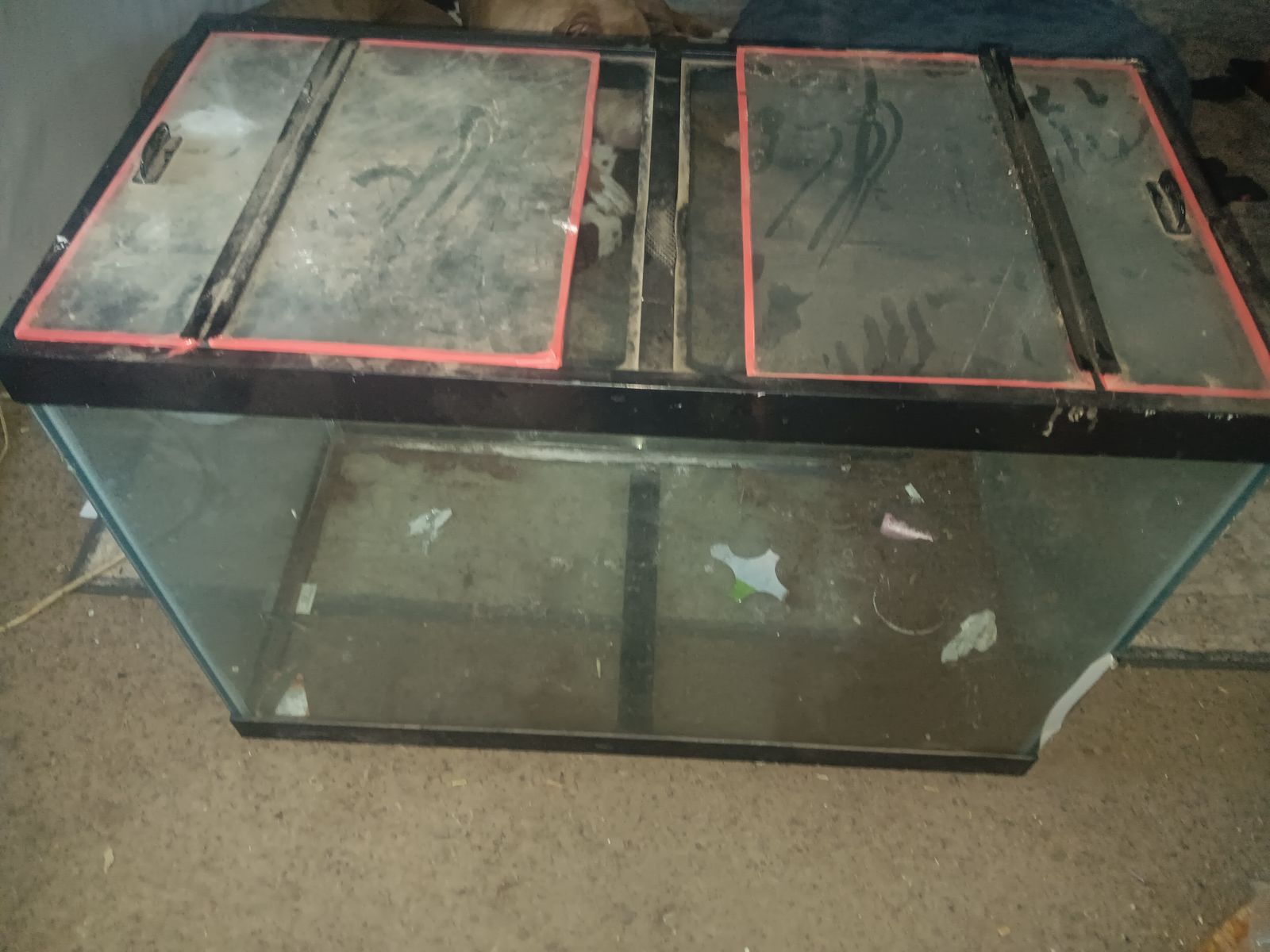 50 gallon fishtank