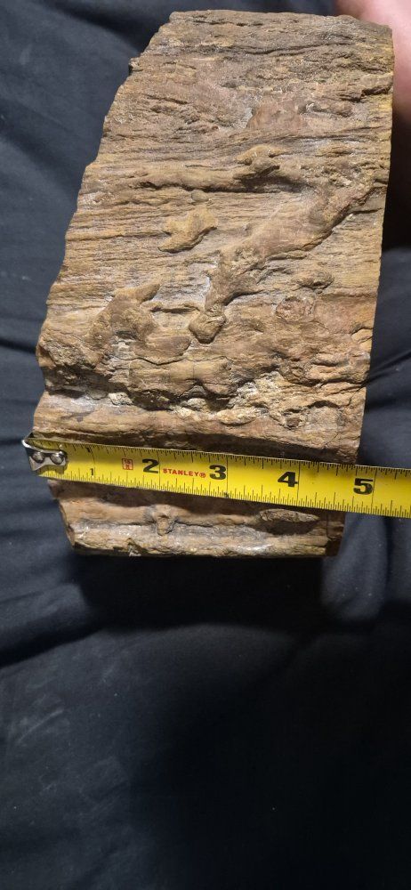 Main image 4