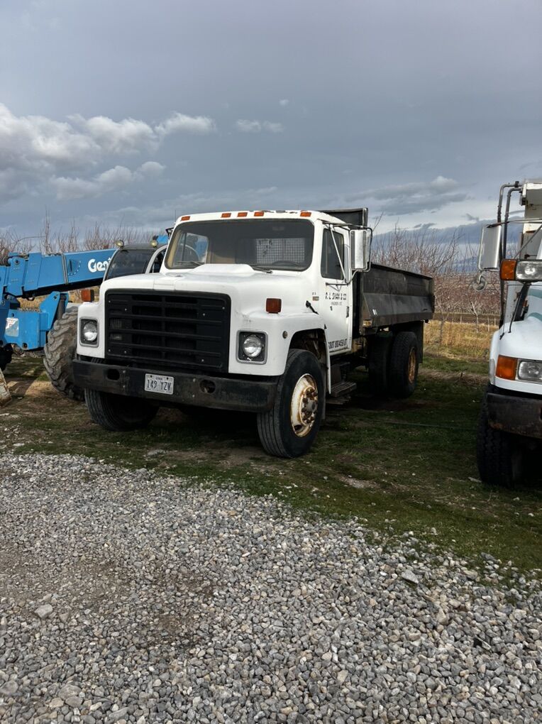 1981 International SS8V4