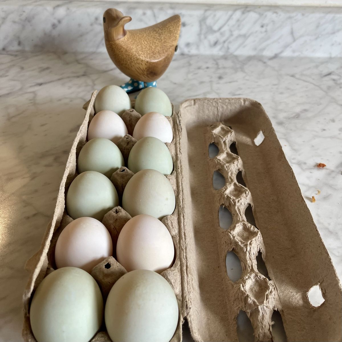 Farm Fresh Duck Eggs