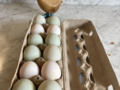 Farm Fresh Duck Eggs