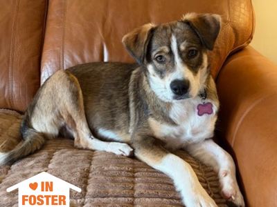 Hello my name is Nami