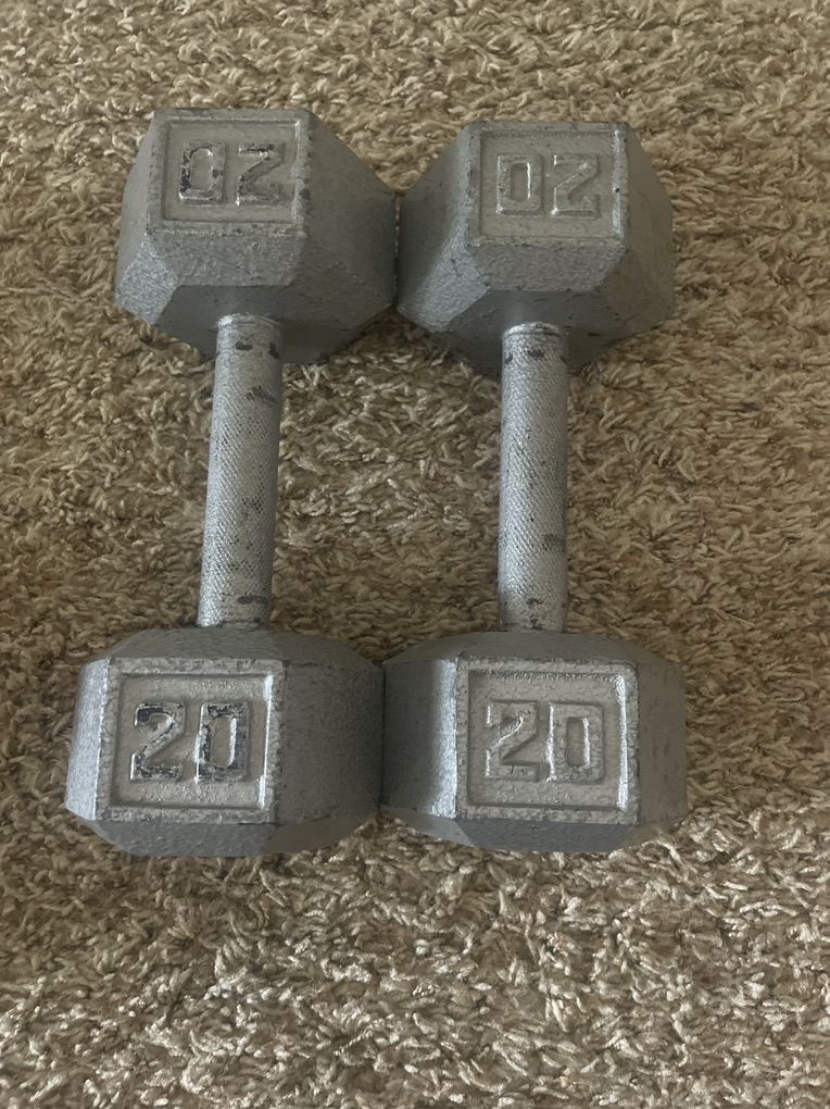 20 Lb Weights