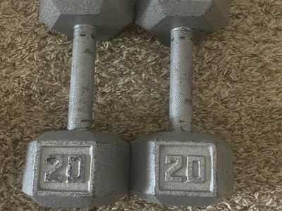 20 Lb Weights