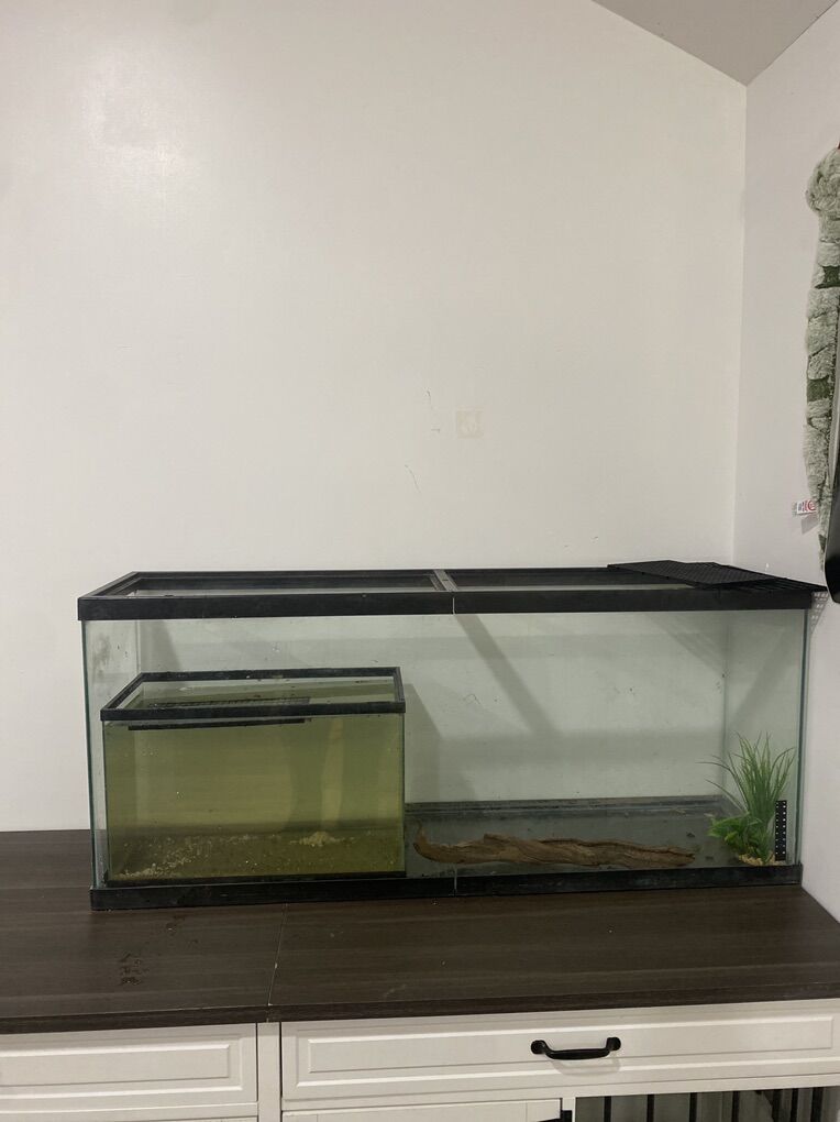 reptile Tank