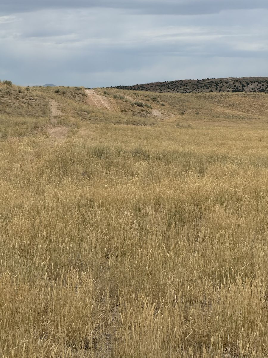 Main image 10