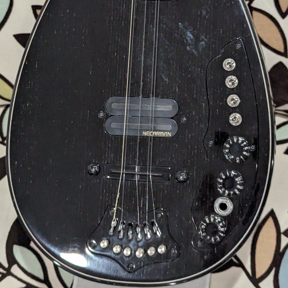 Erasaz Elektro Baglama -saz