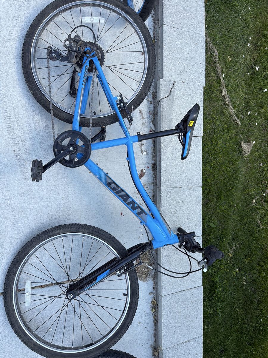 Giant Blue Mountain Bike - Kids/Youth Bicycle - 24”