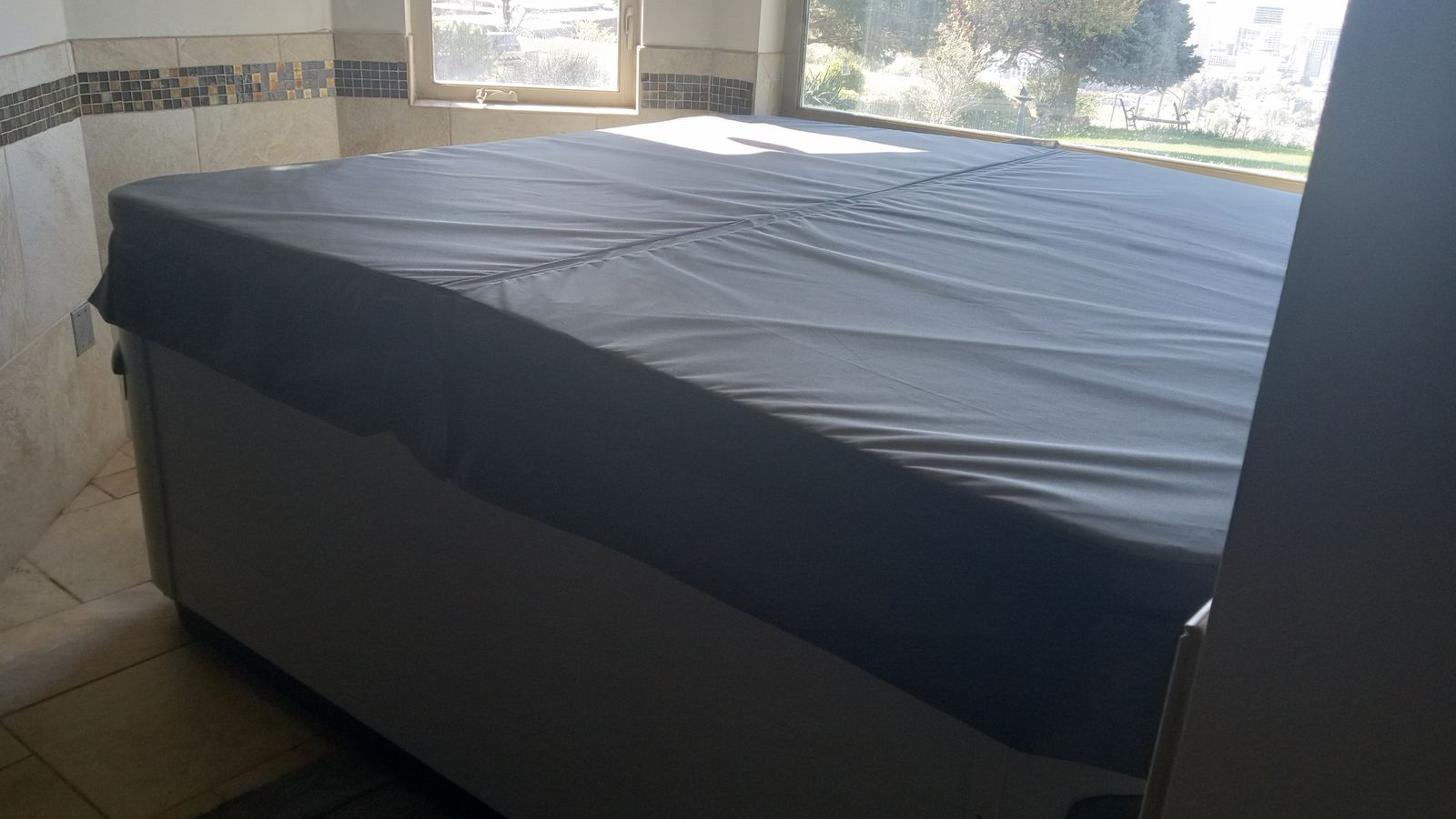 Bullfrog Spa hot tub