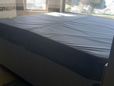 Bullfrog Spa hot tub