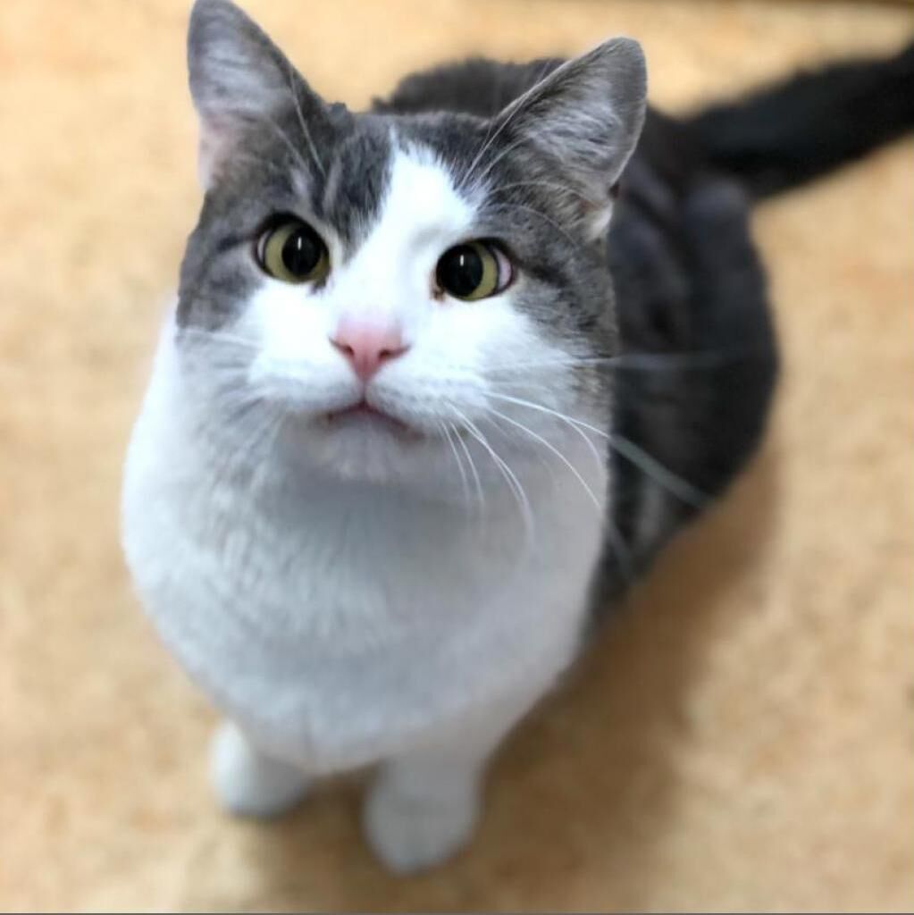 Hello my name is Highway