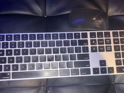 Apple keyboard and mouse
