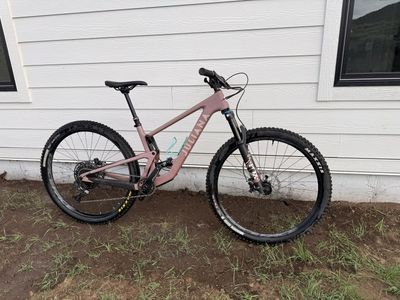 2022 Juliana by Santa Cruz