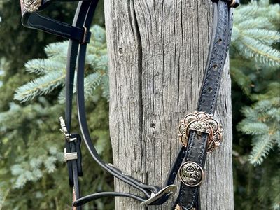 Custom Tooled Leather Horse Bridle Headstall Fox Sunflower Design