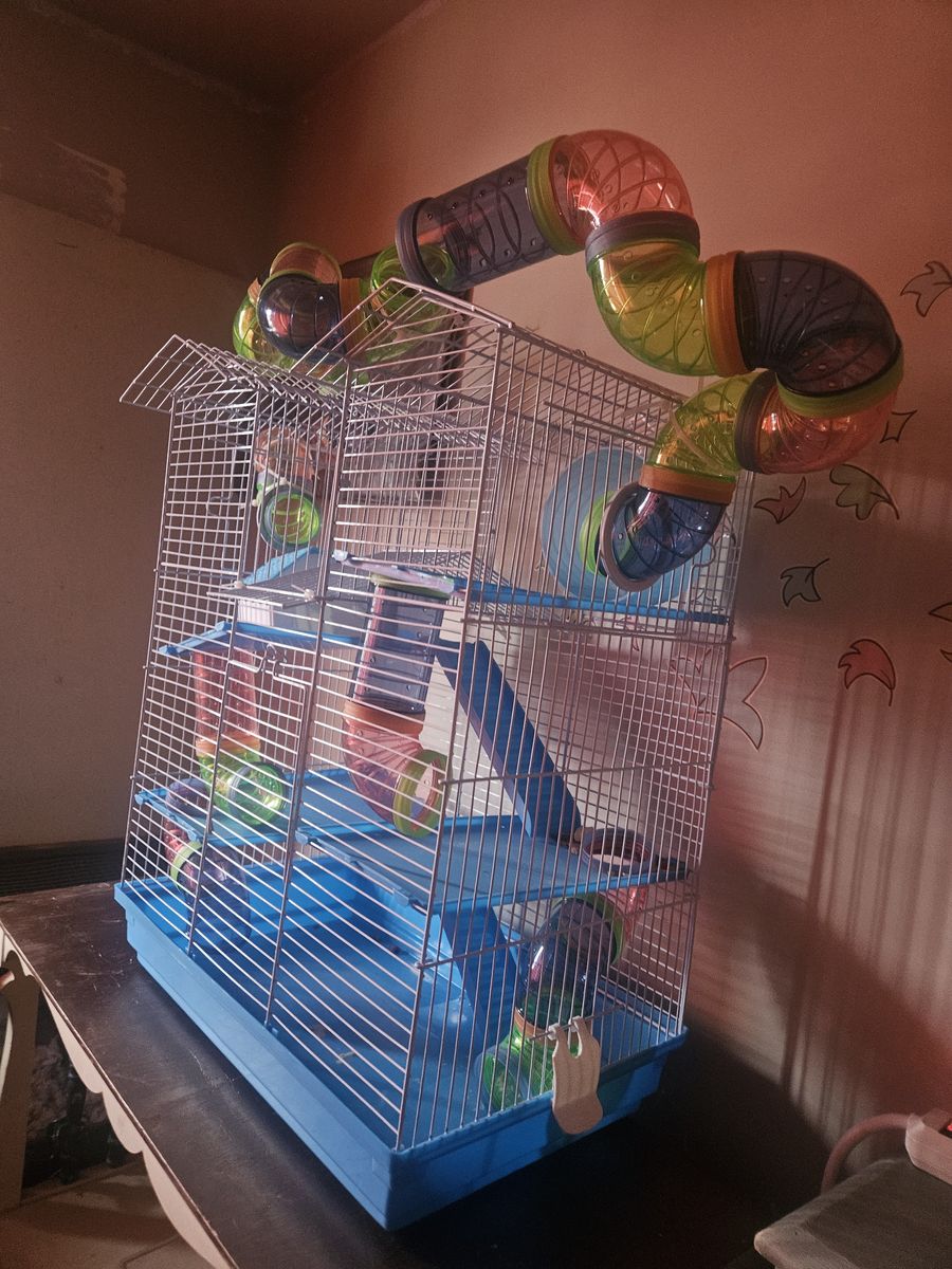 Critter cage
