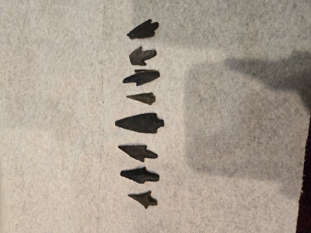 Eight Arrowheads from Saudi Arabia, About 500,000 years old