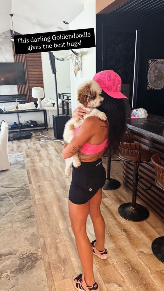 Trained, Sweet, Mini Goldendoodle Boy