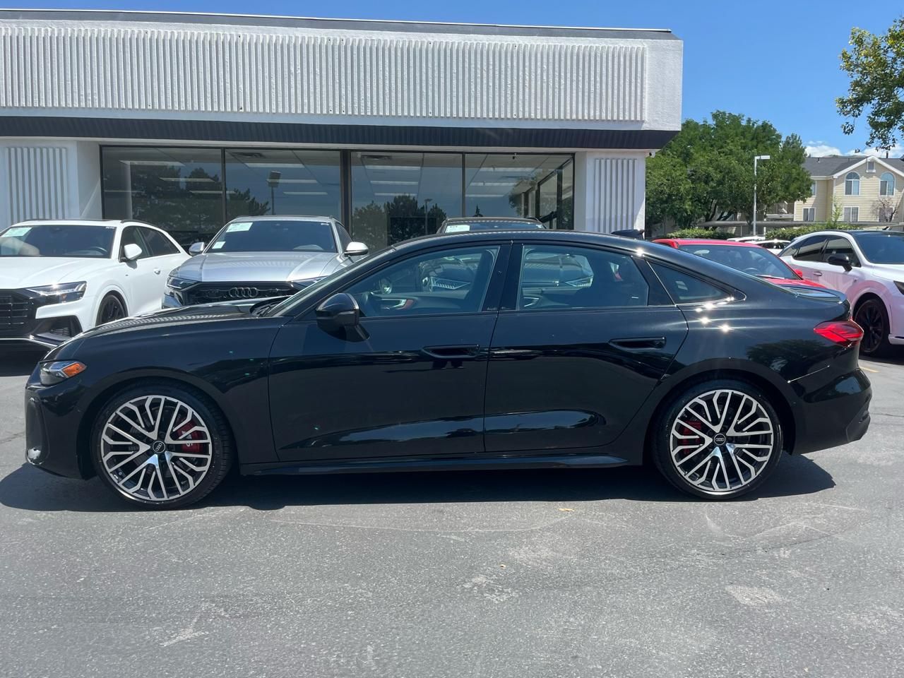 Main image 17