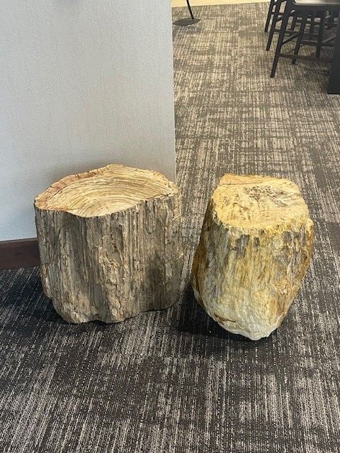 2 stone petrified wood side tables HEAVY