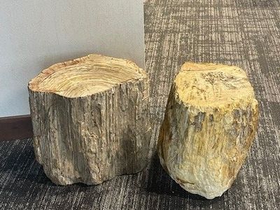 2 stone petrified wood side tables HEAVY