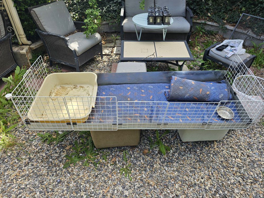 6ft by 2ft Guinea Pig Cage