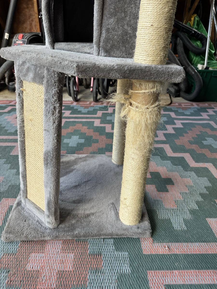 Main image 5