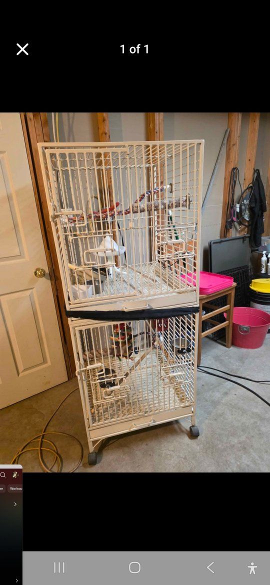 bird cage