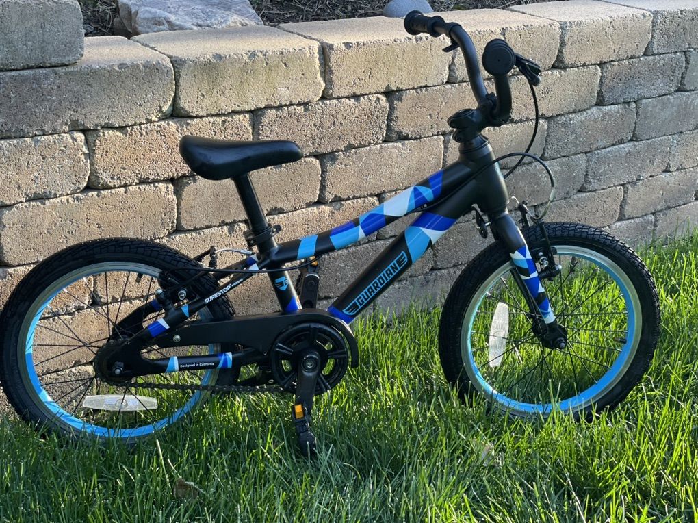 Guardian Bike - 16 In