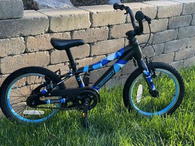 Guardian Bike - 16 In
