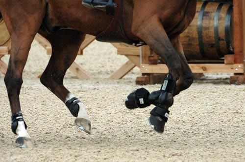 Horse Arena Footing