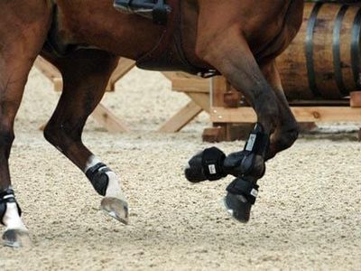 Horse Arena Footing