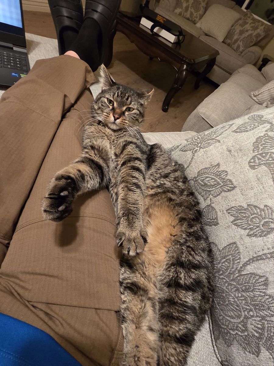 Introducing Loki