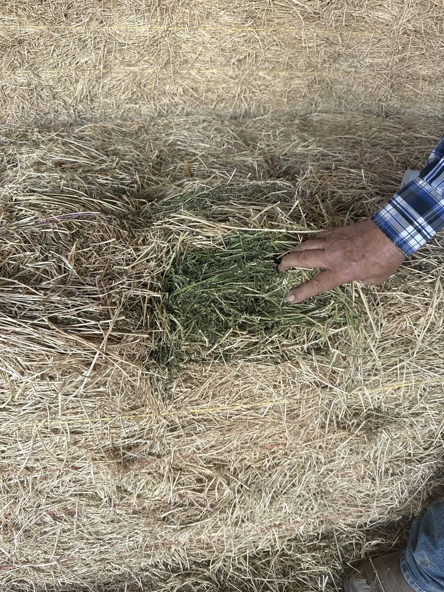 Two string bales