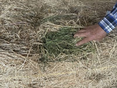 Two string bales